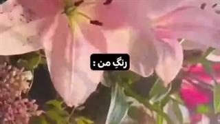 بیاید کامنتای این ویدیو رو 300 کنید!!!!!!!!!! خیخی بیاید بحرفیم