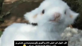 چرا انقد کویرهههه:گریههه: