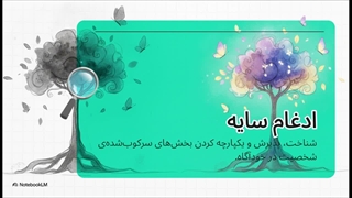 مراحل ادغام سایه