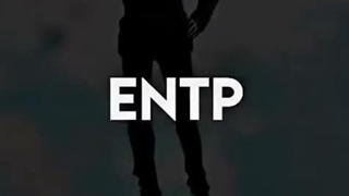 ENTP × Anime