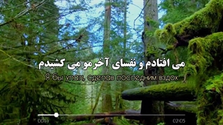 هربار آرزو میکردم که تو رو از دست ندم، اما دیگه بیشتر از این نمی تونم:)