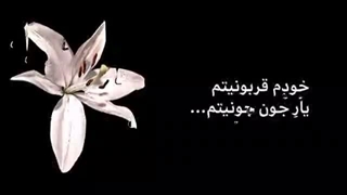 دخترِ من پارت ۳ ☆ کپشن