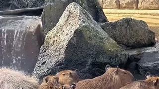 >_<