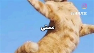 این همون ویدئو هس که می خواستید دان کنید