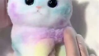 ◇