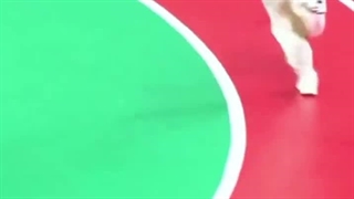 بچم چقدر بد خورد به زمیننننننننننن .......ولی همون موقع پاشد