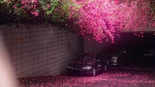 تقدیمی برای پارمیس خوشگلم^^
