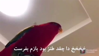 ا هرکی زر زد با این ویدیو تخریب کاملش کنید