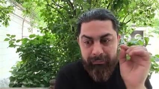 بازی خوانی دقیق ایران ، سفر شی به کره شمالی ، وحشت ژاپن ،جنگ بعدی( محمدندیمی)