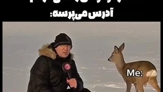 هنوز هیچی بلد نیستم