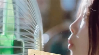 سال ۲۰۲۴...
