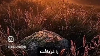 شکر گزاری