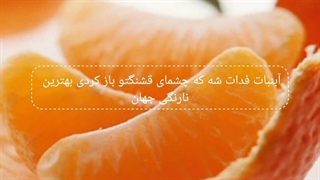 نارنگی کوشولوووو! خوش برگشتی! (کپشن)