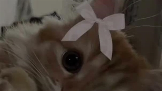 >>