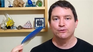 feather type