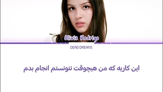 لیریک فارسی آهنگ STUPID SONG از اولیویا رودریگو (Olivia Rodrigo) +متن کد گذاری شده رنگی «Color Coded Lyrics»