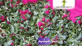 چند مدل ریحان در دنیا وجود دارد؟