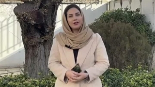 آموزشگاه البرز