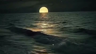 من دیشب پنهان از خودم