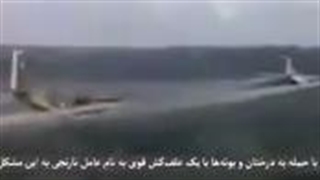 گندم امریکایی