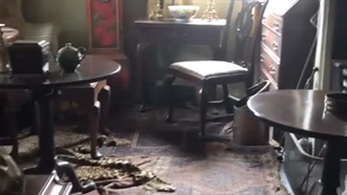 ;