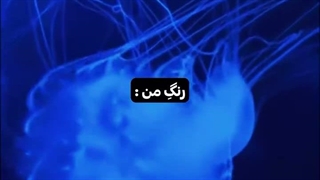 تولد وونهــــ★ـــی و مانـــ★ـــون مبارککک^^