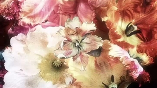 گل _ زیبایی