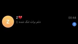 -دلتنگِ‌تو"