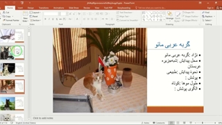 ✔ تحقیق آماده در مورد لیست نژادهای گربه در پاورپوینت دارای 114اسلاید
