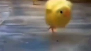 جرر