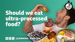 Processed food