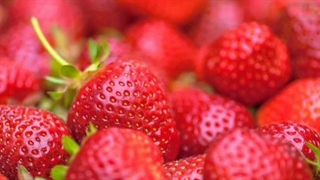 یک سوال داشتم، اصلا کسی تو نما زنده‌س؟ کپشن