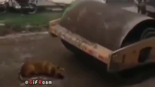 کلک خوردی عزیزم