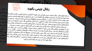 زغال چینی رکورد؛ کیفیتی ماندگار برای مصرف حرفه‌ای