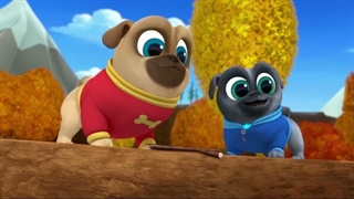 S02E12-Duck Duck Dog Mr Bob Goes to Washington
