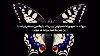 تقدیم به....
