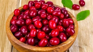 خواص میوه زغال اخته چیست؟