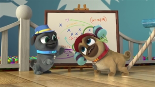 S04E07-Pups in the Wild The Sunshine Pups