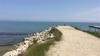 شمال ایران جنگل و دریا