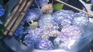زیبایی گللل