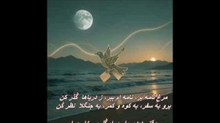 زنده یاد ناصر مسعودی ـ مرغِ نامه بَر