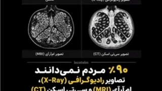 ‪میو اطلاعات عمومی (◔‿◔)