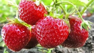 بجای اینکه بگیرین بخوابین بیاین به این آهنگ گوش بدین، این چه کویریه‌ آخه راه انداختین؟: کپشن