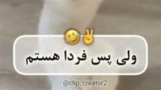 آکازا اکانت تو خوبه اینجا دیگه مال من شد :نخبه: باح باح باح