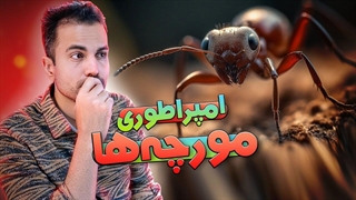 زندگی شگفت انگیز مورچه ها