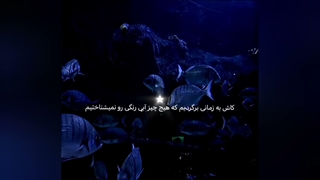 کپ لطفا~