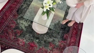 شاهکار دیار فرش در منزل مونا آیدیاز