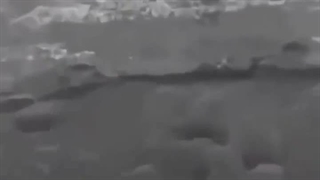 این ویدیو رو ببینید و لایک نکنید