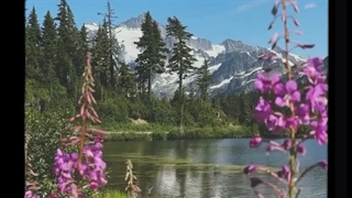 سلامم چه خبرا کپ