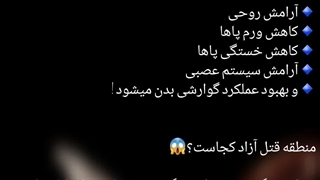 اطلاعات عمومی
